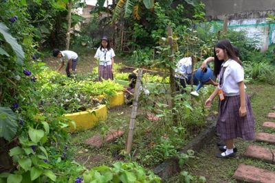 SEARCA to air youth talk show on school and home gardening
