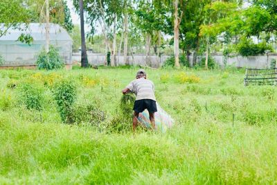 SEARCA holds baseline assessment workshop and M&E of school gardens in Cambodia