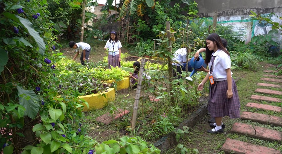 SEARCA to air youth talk show on school and home gardening