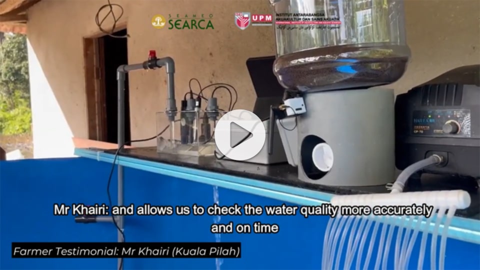 AI meets aquaculture: Smart fish feeder cuts labor and waste
