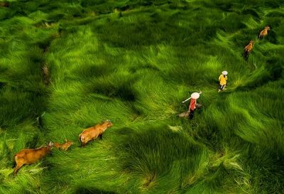 Latest studies bare SEA "climate smart" actions to navigate onslaught of stresses, impacts to agriculture
