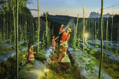 SEARCA participates in IFAD and FAO's first Multi-Actor Global Exchange Meeting; highlights contributions of evidence-based research to the development of the Modular Training Program on Public Policy Cycles for Family Farming