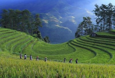 SEARCA, BSP to hold roundtable discussions on sustainable agri-food systems