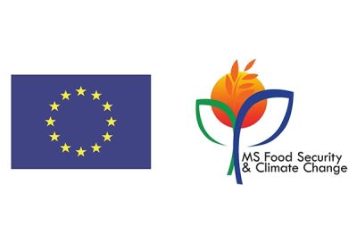 MS FSCC garners positive evaluation from the European Commission EACEA