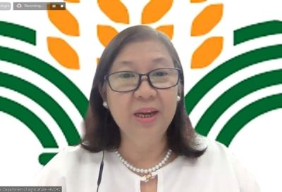 SEARCA completes value chain analysis of the three key agricultural commodities